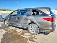 2019 Honda ODYSSEY фото