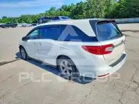 2019 Honda ODYSSEY фото