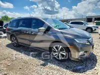 2019 Honda ODYSSEY фото