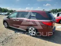 2019 Honda ODYSSEY фото