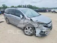 2019 Honda ODYSSEY фото