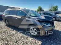 2019 Honda ODYSSEY photo