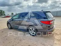 2019 Honda ODYSSEY фото