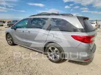 2019 Honda ODYSSEY photo