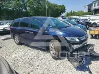 2019 Honda ODYSSEY photo