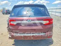 2019 Honda ODYSSEY фото