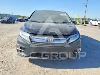 2019 Honda ODYSSEY фото