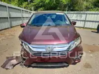 2019 Honda ODYSSEY фото