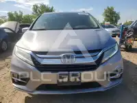 2019 Honda ODYSSEY photo