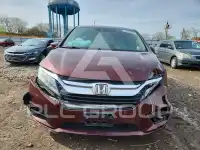 2019 Honda  фото