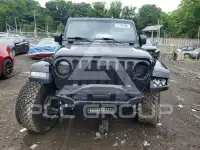 2019 Jeep WRANGLER photo