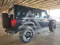 2019 Jeep WRANGLER фото