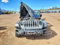 2019 Jeep WRANGLER фото