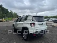 2019 Jeep Renegade фото