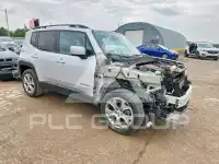2019 Jeep Renegade фото