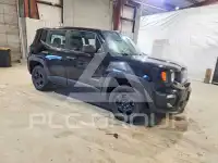 2019 Jeep Renegade фото