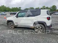 2019 Jeep Renegade фото