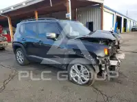 2019 Jeep Renegade фото
