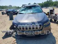 2019 Jeep Grand Cherokee photo