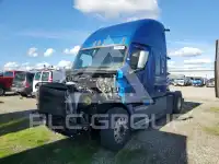 2019 Freightliner All Other фото