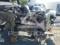 2019 Freightliner All Other photo