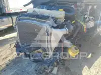 2019 Freightliner All Other фото