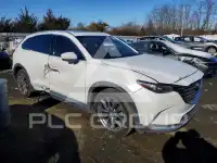 2019 Mazda CX-9 фото