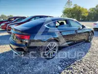 2019 Audi S5 фото