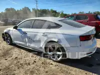 2019 Audi S5 фото