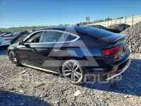 2019 Audi S5 фото