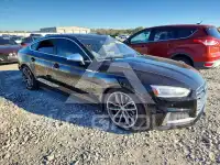2019 Audi S5 фото