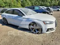2019 Audi S5 фото