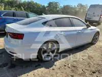 2019 Audi S5 фото