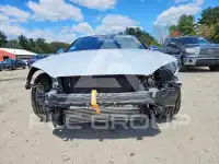 2019 Audi S5 photo