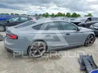 2019 Audi S5 фото