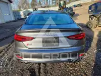 2019 Audi S5 фото