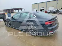 2019 Audi S5 фото