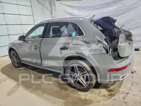 2019 Audi SQ5 фото