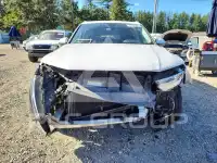 2019 Audi Q7 фото