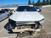 2019 Audi Q7 photo