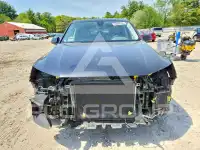 2019 Audi Q7 photo