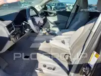 2019 Audi Q7 photo