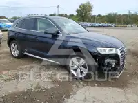 2019 Audi Q5 фото