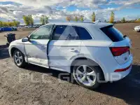 2019 Audi Q5 фото