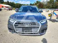 2019 Audi Q5 фото