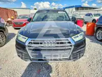 2019 Audi Q5 photo