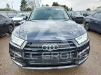 2019 Audi Q5 фото