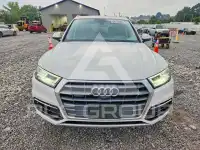 2019 Audi Q5 фото