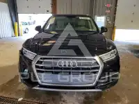 2019 Audi Q5 фото