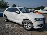 2019 Audi Q5 фото